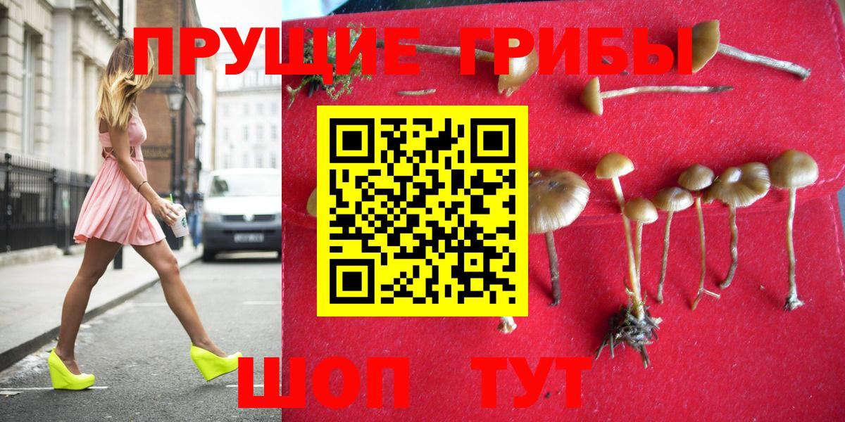 Галлюциногенные грибы прущие грибы Знаменск