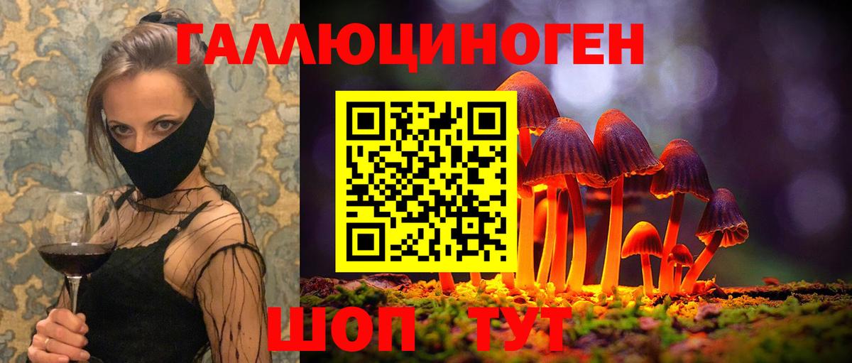 Галлюциногенные грибы прущие грибы  Псилоцибиновые грибы мицелий  Знаменск  купить  цена  Вход с VPN 